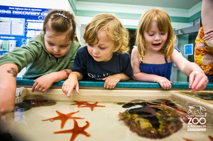 How Zoos and Museums Use Big Data to Refresh and Reset Visitor Experience