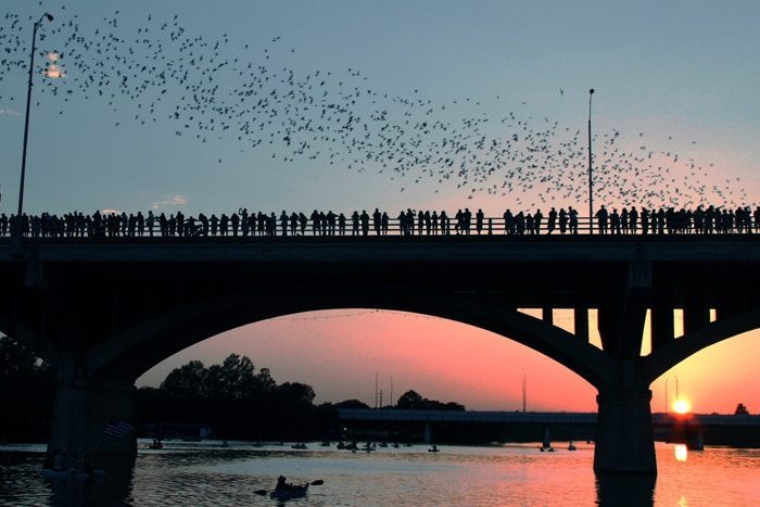 congress-avenue-bridge