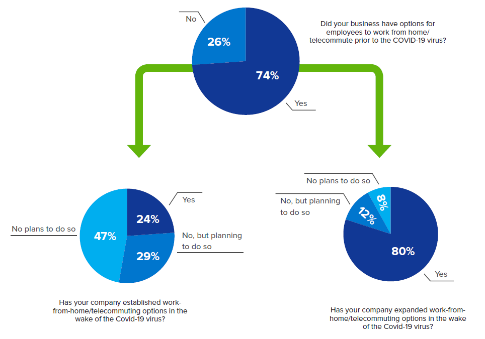 Mobilizing Technology for Effective Remote Working Environments